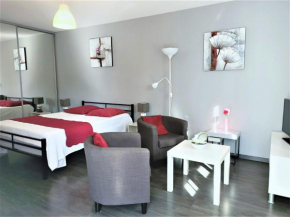 T1 moderne et lumineux avec terrasse et parking ! - FR-1-555-70